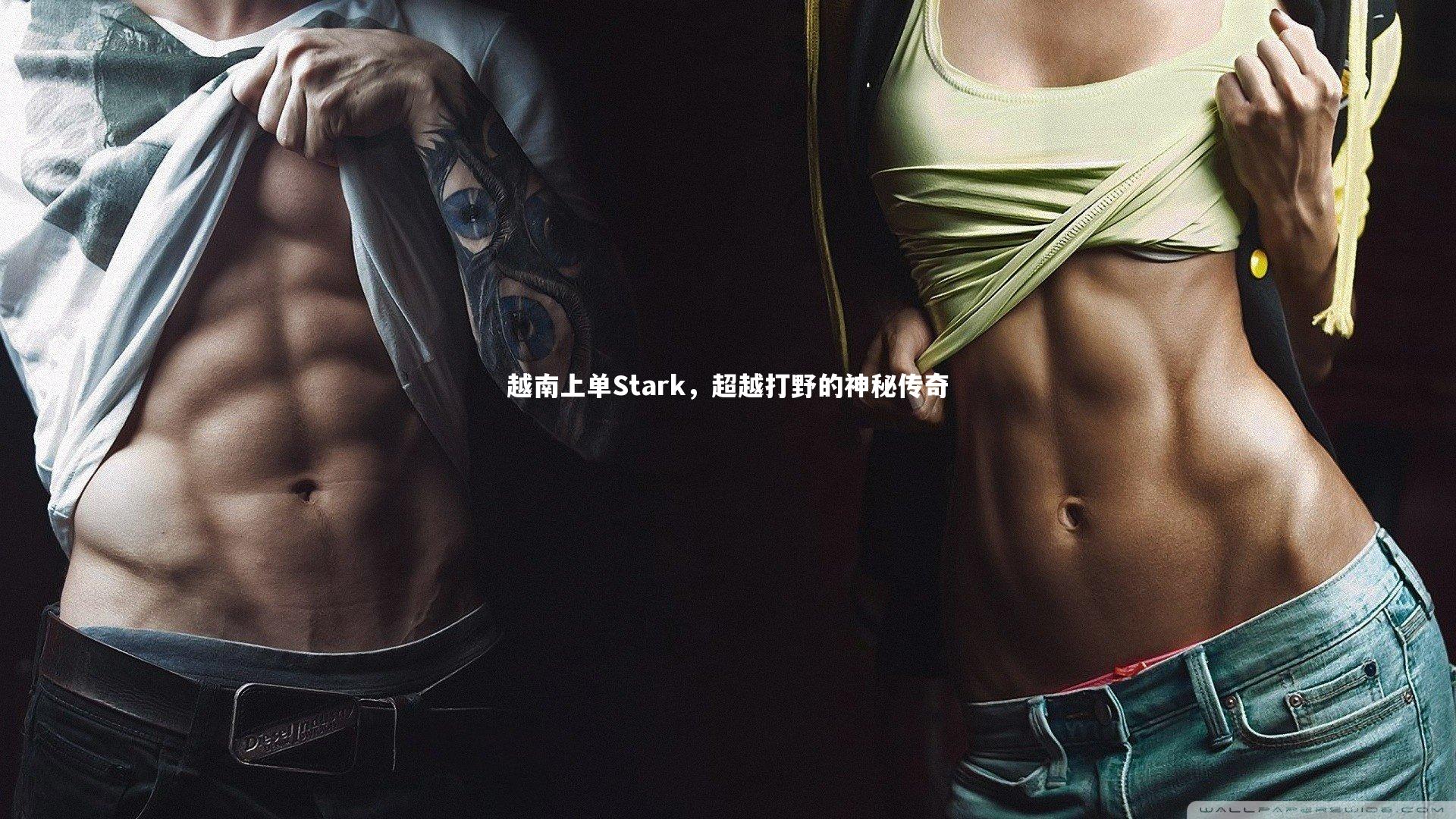 开云官网登录入口：越南上单Stark，超越打野的神秘传奇
